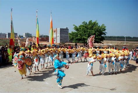 点湛非遗｜湛江人龙舞：气吞山河的中国“龙”_湛江市人民政府门户网站