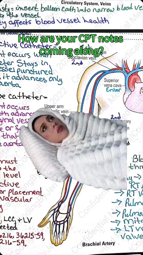 Image result for Learn Patholgy CPT Coding