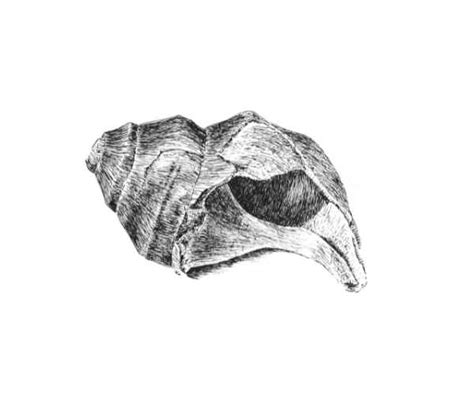 Image result for Ink Pattern Drawing