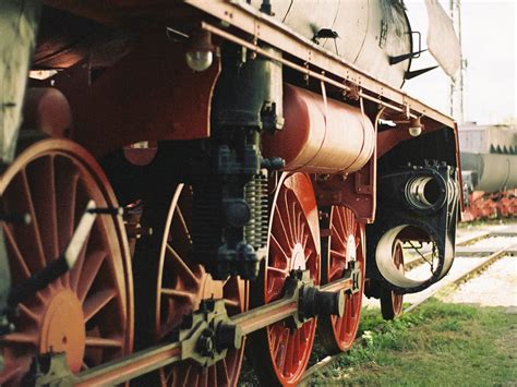 Lomax, The Hound of Music - Wakelet