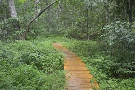 Revisiting Broadmoor Wildlife Sanctuary in South Natick - Natick Report