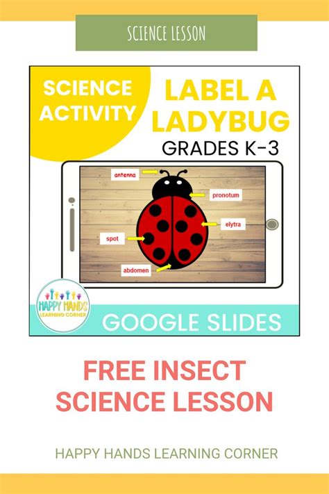 Image result for Ladybug Science