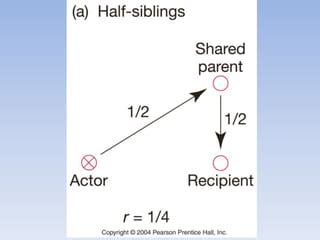 Image result for Hamilton Rule Examples