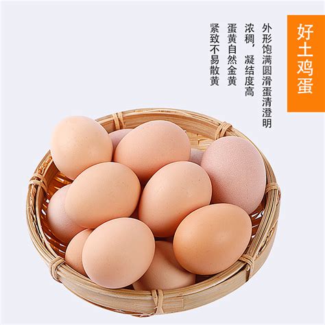 怎样识别土鸡蛋和普通鸡蛋的区别（土鸡蛋和普通鸡蛋有哪些区别？营养上有不同吗？） | 说明书网