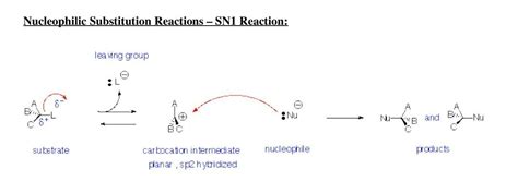 order of sn1 and sn2 reactions???? - Brainly.in