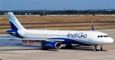 IndiGo, BOC Aviation signs purchase-leaseback agreements for eight ...