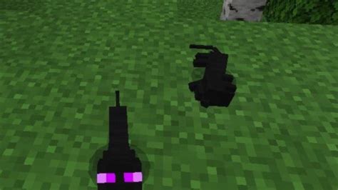 Image result for Cat Minecraft Mods