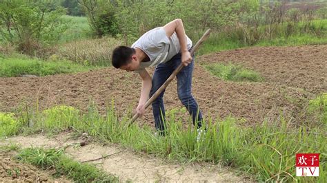 南宁上林一大山树根被盗挖，村民盼早日抓获不法分子|南国早报网-广西主流都市新闻门户