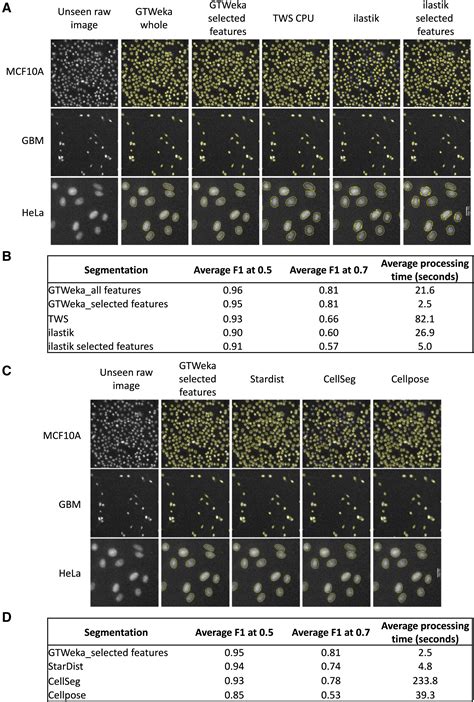 Image result for Cell Segmentation Methods