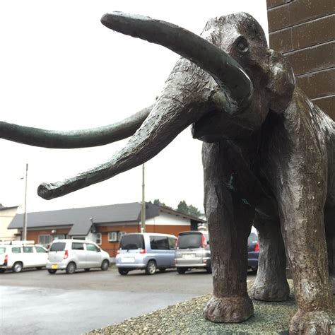 LAKE NOJIRI NAUMANN ELEPHANT MUSEUM (2025) All You Need to Know BEFORE ...