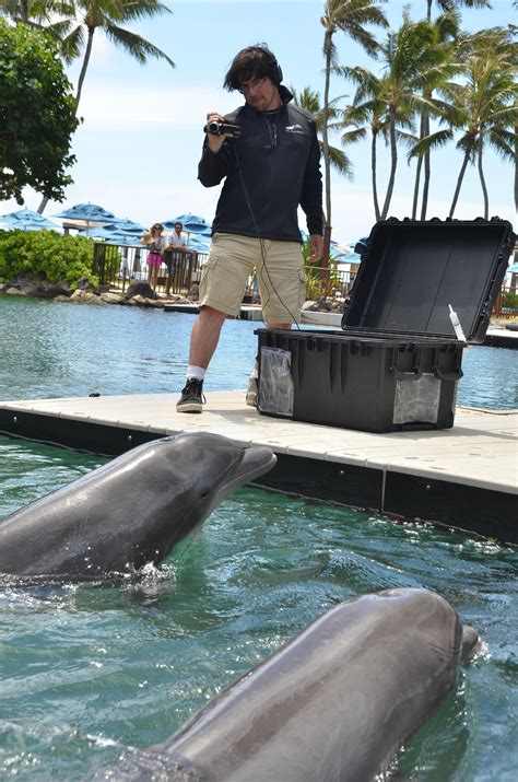 Deep Dive: Dolphins, Drones and Urine – Dolphin Communication Project