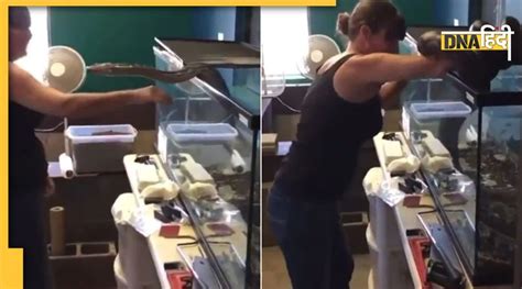 Image result for Wild Python Attack Scenes