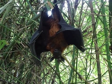 RB Tours Srilanka - Kandy | Tripadvisor