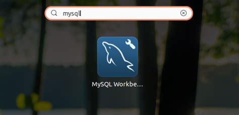Image result for How to Run in MySQL Workbench