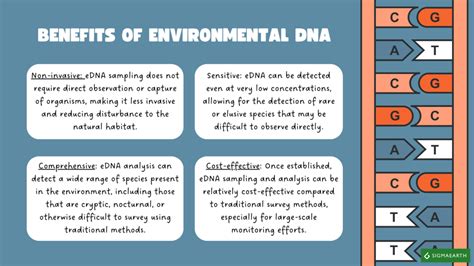 环境dna 的图像结果