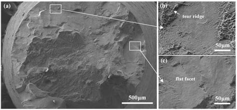 Effect of Secondary α Phase on Stress Corrosion Cracking of a Novel ...