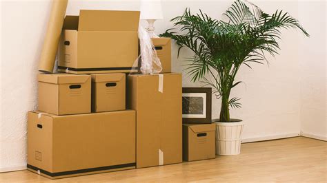 Image result for Temporary Storage Solutions
