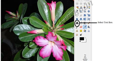 Image result for How to Apply Watermark Using GIMP Using Windows