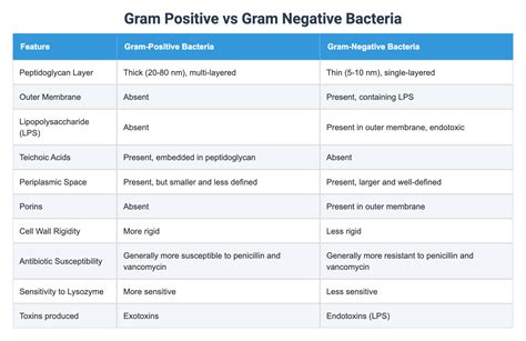 Gram Positive vs Gram Negative Bacteria