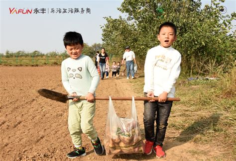 不来收购，又不让外销，农民卖个红薯，有那么难吗？__财经头条