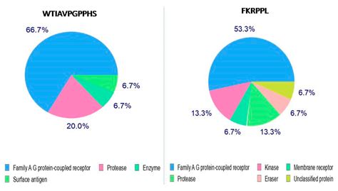 Potential DPP IV Inhibitory Peptides from Dry-Cured Pork Loins after ...