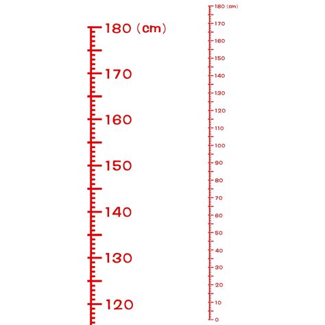 Height Chart Ruler 180cm Metric System PVC with Transfer Film, Red ...