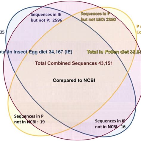 Image result for Contiguous Numbers