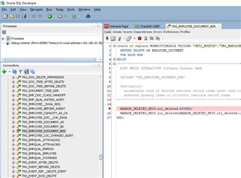 Image result for Cahnge Language of SQL Developer Guide.pdf