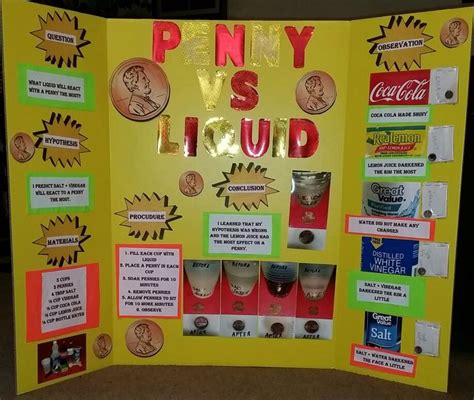 5 Grade Science Projects 的图像结果