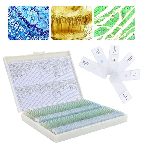QUNSE Buy Microscope Slides 100 Pcs-B Online India | Ubuy