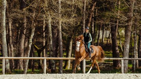 Co-Pilot Logo 的图像结果