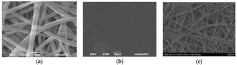 New Resorbable Membrane Materials for Guided Bone Regeneration