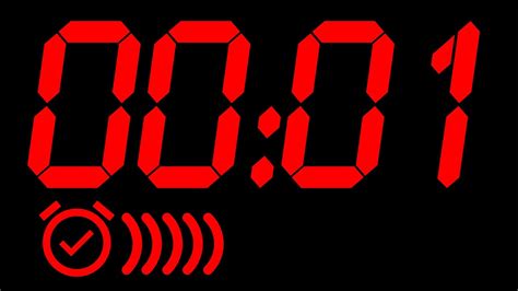 1 Second Timer Challenge 的图像结果