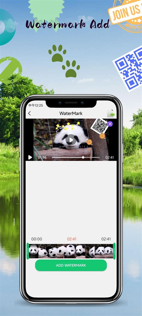 Video Format Converter 的图像结果