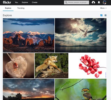 Image result for Simple JavaScript Calculator Code