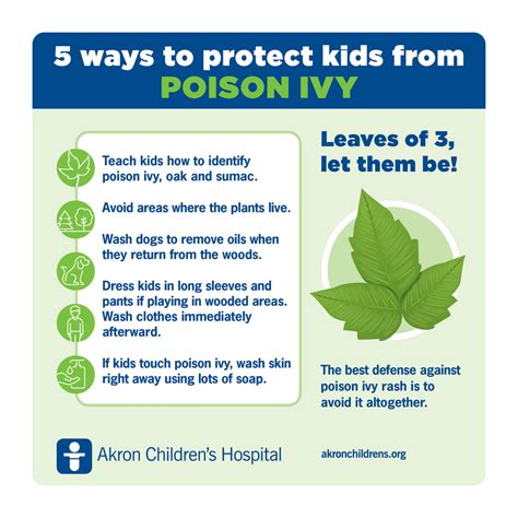 Amazing Natural Treatments For Poison Ivy Rash Top 10 Natural Remedies