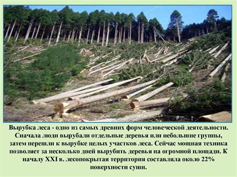 Уничтожение и деградация лесов - презентация онлайн