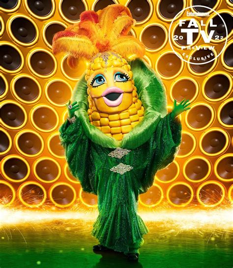 Image result for Masked Singer Avacado