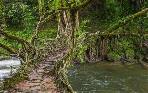 8 Best Places to Visit in Meghalaya in June 2025