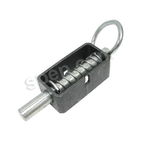 Image result for Spring Bolt Latch