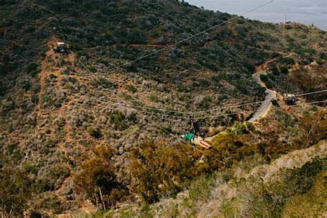 Catalina Zip Line Eco Tour | Descanso beach club, Ecotourism, Ziplining