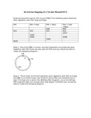 Circular Restriction Mapping 的图像结果