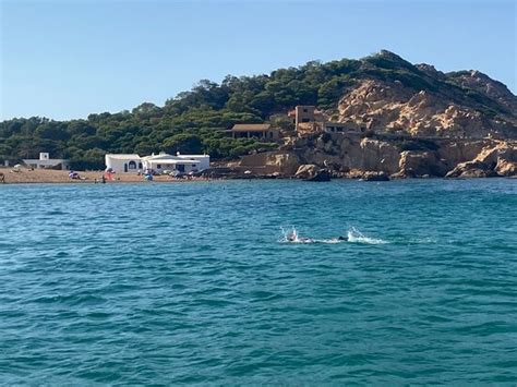 Mar en Calma Menorca - 2022 What to Know Before You Go (with Photos ...