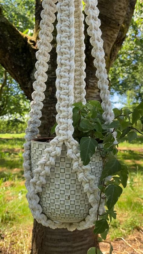 Image result for Macrame Plant Hanger Tutorial