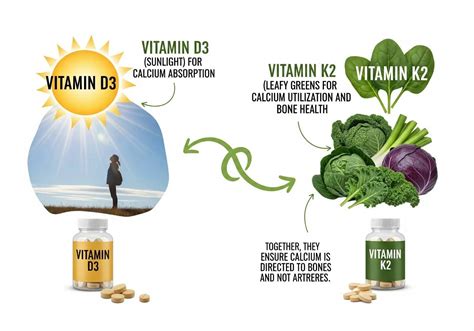 6 Best Vitamins for Vaginal Health to Improve pH & Immunity | Credihealth