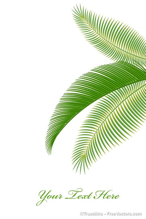 Free Use Vector Graphics 的图像结果