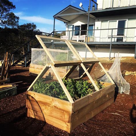 Protecting my produce with raised garden bed covers – Wide Open Mind ...