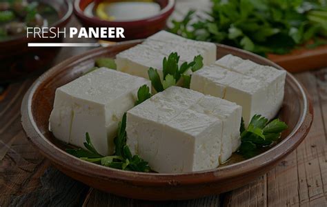 Gavya Milk Specialities Private Limited