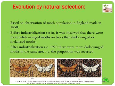 Evolution Level Class 7 的图像结果