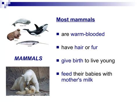 Why Is Classification of Animals Needed 的图像结果